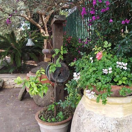 Apartamento Il Casale Del Cortonese Sassari Exterior foto