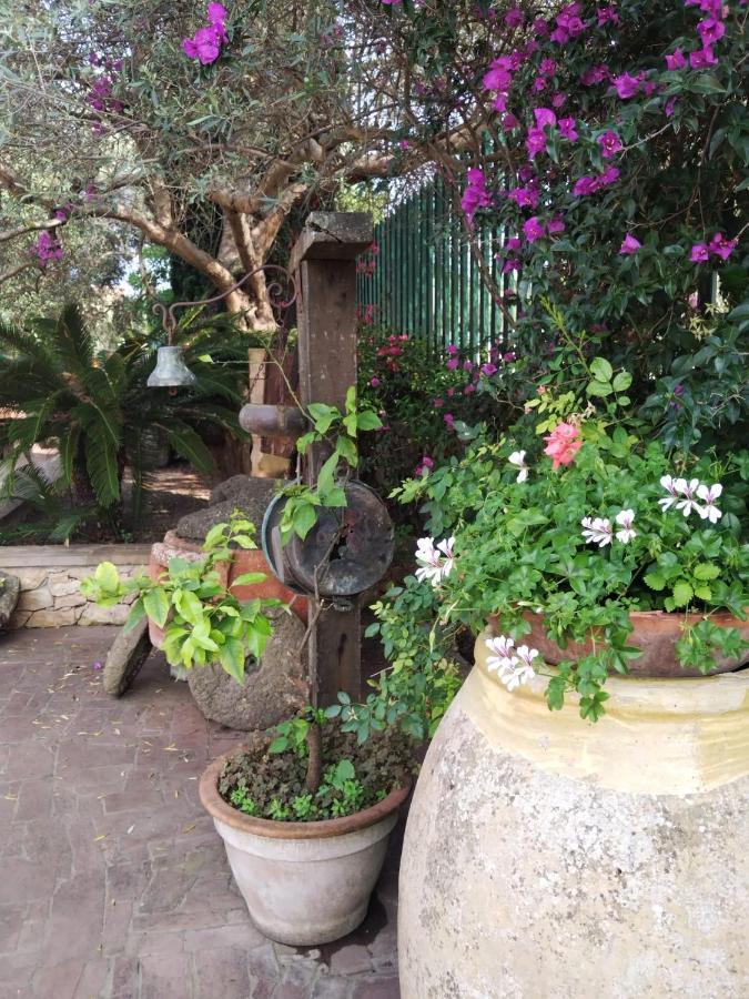 Apartamento Il Casale Del Cortonese Sassari Exterior foto
