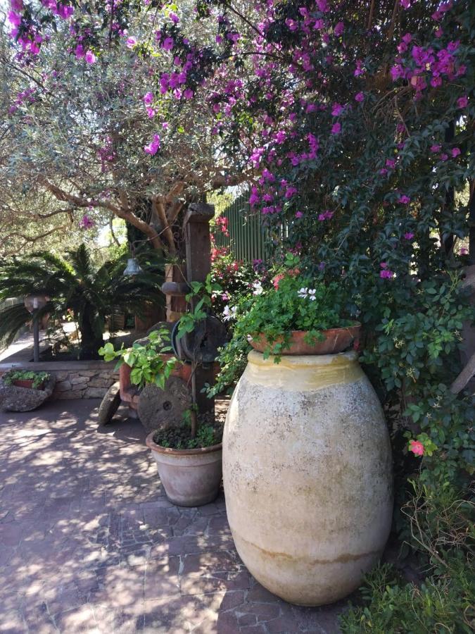 Apartamento Il Casale Del Cortonese Sassari Exterior foto