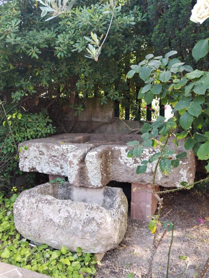 Apartamento Il Casale Del Cortonese Sassari Exterior foto